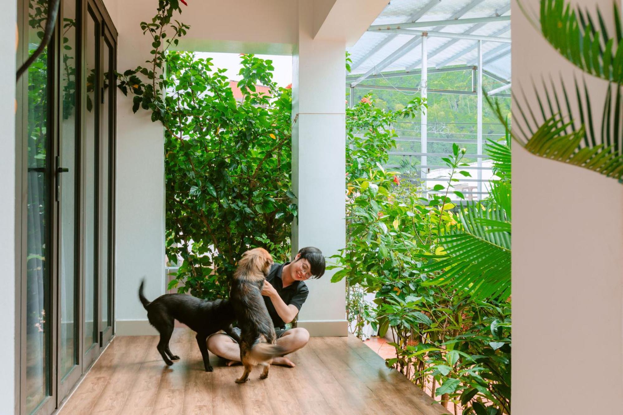 D'Home Homestay Cat Ba Dong Khe Sau Ngoại thất bức ảnh