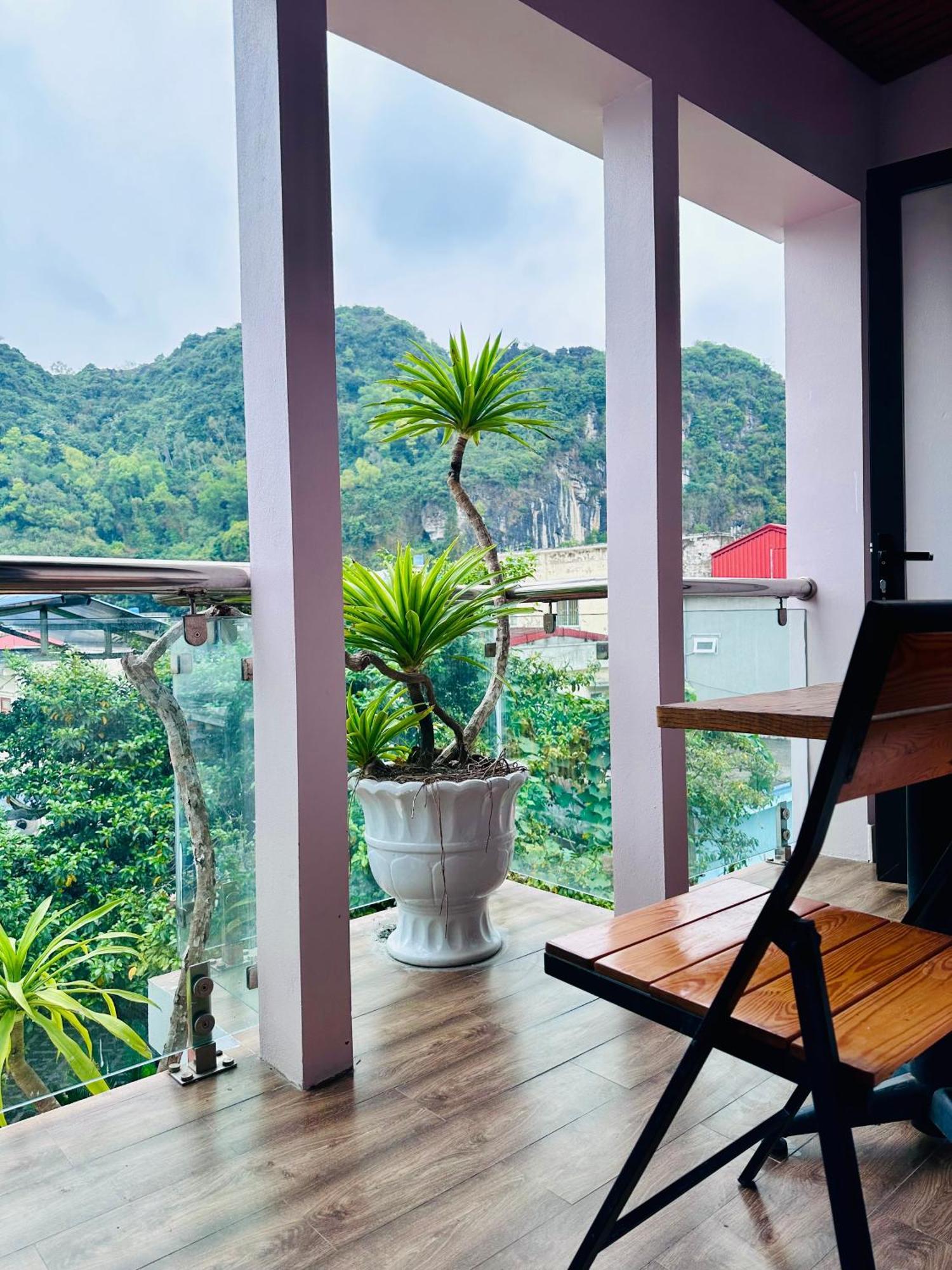 D'Home Homestay Cat Ba Dong Khe Sau Ngoại thất bức ảnh